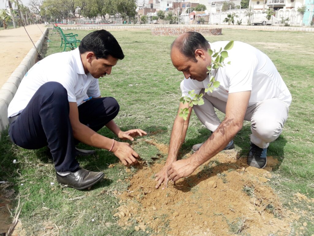 welcome foundation tree plantation program